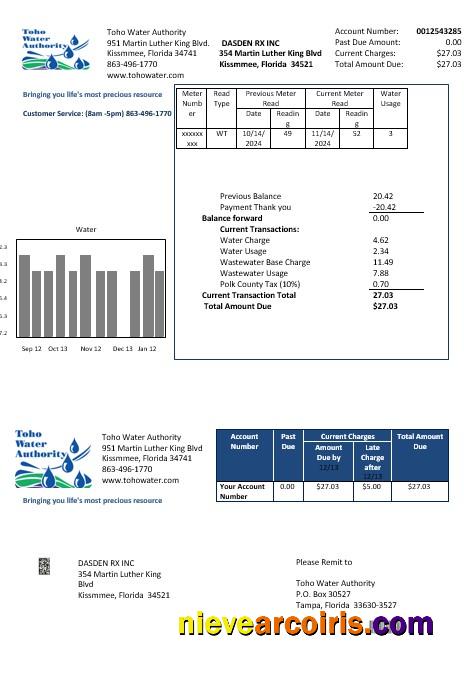 USA Florida Toho Water Authority business utility bill